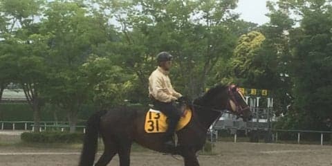 【鳴尾記念】ナスノセイカン 芝2000mはベスト