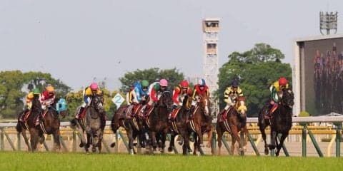 【目黒記念】デムーロ「頑張って走ってます」ジョッキー談話