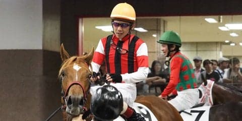 【東京5R/新馬戦】1番人気のウインゼノビアは捕らえきれず2着まで