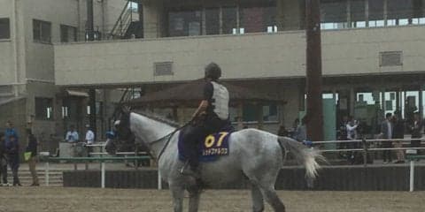 【安田記念】レッドファルクス 馬場状態や時計もポイント