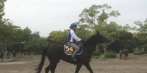 【安田記念】サトノアレス 蛯名「前走以上の状態」