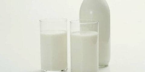 知ってる？カルシウムの大事な働き