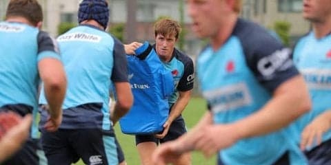  本気のワラターズ　東京でハードワーク 