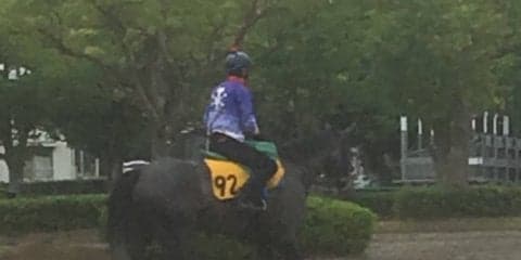 【エプソムC】アルジャンテ 集中力の持続カギ