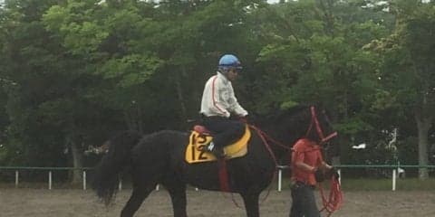 【エプソムC】トーセンマタコイヤ 立ち回りひとつでチャンス