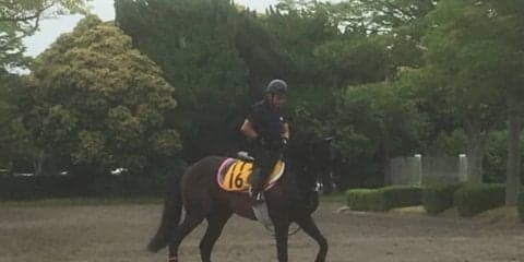 【エプソムC】ダイワギャグニー 全5勝東京の府中巧者