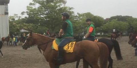 【エプソムC】マイネルミラノ 一昨年3着で軽視禁物！