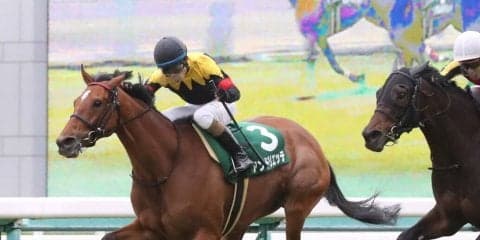 【阪神11R/マーメイドS】アンドリエッテが重賞初V！内から一気の差し切り！