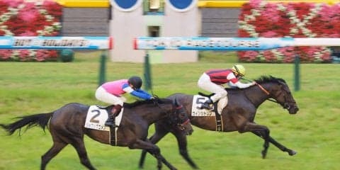 【東京8R/3歳上500万下】ウインシトリン快勝！欽ちゃん所有、ジョブックコメンは2着