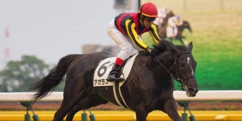 【東京新馬戦】ルメール「直線ノーステッキ」アガラスが圧巻の勝利！