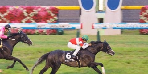 【東京10R/多摩川S】人気各馬を抑えショウナンアンセムが逃げ切り勝ち
