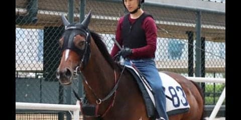 宝塚記念、香港馬ワーザーをわざわざ連れてきたムーア師に勝算あり！