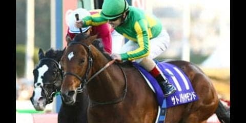 宝塚記念は、サトノダイヤモンド復活を信じていいか。マジで大丈夫か？