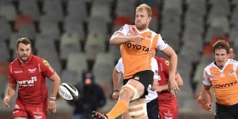  キヤノンに南ア出身2メートルLOが加入　「最大限の貢献をしたい」 