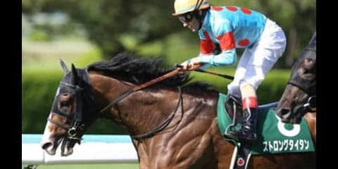 宝塚記念。夏の旅行でビジネスクラスに乗せてくれる優しい４頭がいる