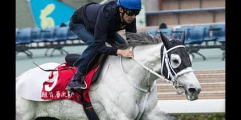 宝塚記念の穴馬「この３頭半端ないって。そんなん来いひんやん、普通」