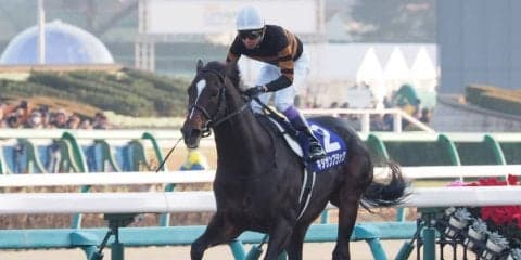 【函館9R/3歳上500万下】武豊キタサンタイドー惜しくも2着！函館競馬場ではキタサンブラック特別展示開催中