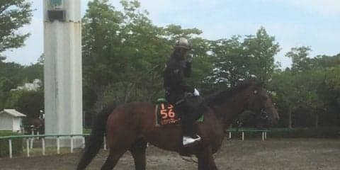 【ユニコーンS】ルヴァンスレーヴ 萩原師「前走と変わらない状態」