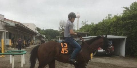 【ユニコーンS】リョーノテソーロ 芝より適性は高い