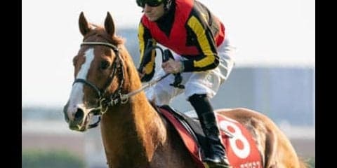 宝塚記念は実績馬に不安あり。元気ビンビンな上がり馬で前期総決算だ