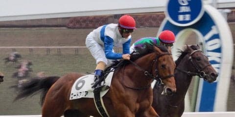 【東京6R/2歳新馬】ロードカナロア産駒、ロードアクアが完勝！