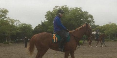 【注目新馬】土曜東京 イヴォーク