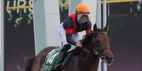 【ユニコーンS】ルメール 「力はあります」ジョッキー談話