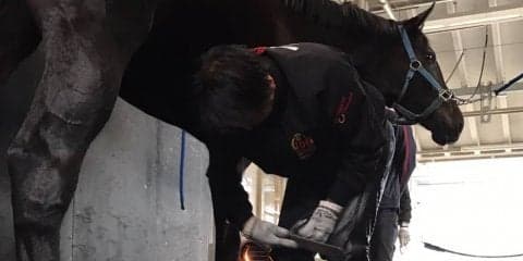 複勝率9割！装蹄師/西内荘の担当新馬が凄い件