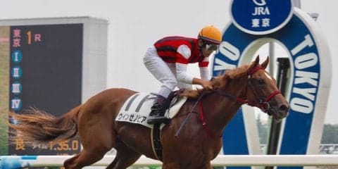 【東京1R/2歳未勝利】単勝1.2倍のウインゼノビアが大楽勝！