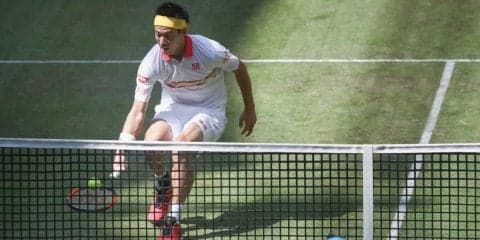 錦織が来年2月の「ABN AMRO ワールド・テニス」出場へ