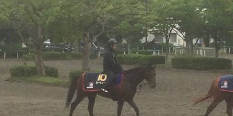 【宝塚記念】ゼーヴィント  右回りの方が競馬はしやすい