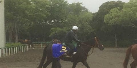 【宝塚記念】サトノクラウン  石橋脩と新コンビで復活狙う