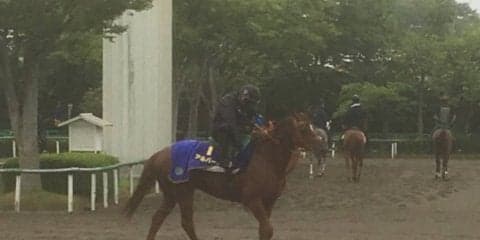 【宝塚記念】アルバート2200mも守備範囲