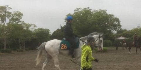 【注目新馬】ハヤヤッコ