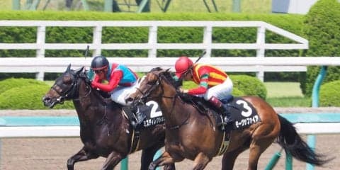 【阪神8R/出石特別】モーヴサファイアが追い比べを制する！福永騎手は本日3勝目