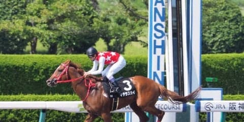 【阪神10R/花のみちS】隠れ豊マジック！武豊マテラスカイが3馬身半の逃げ切り勝ち！