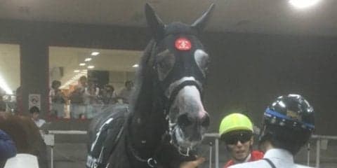 【パラダイスS】藤沢和師「落鉄する場面あった」関係者コメント