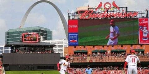 【MLB】昨季は猫、今季は…カージナルス球場スタッフ襲った爆笑必至、まさかの珍事