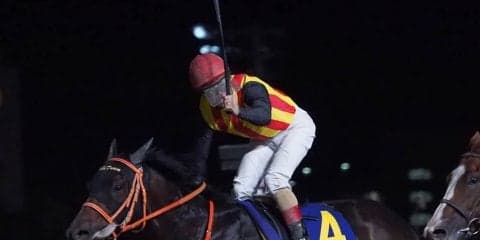 【帝王賞】ルメール 「馬をかわすことが好き」ゴールドドリーム帝王賞制覇！