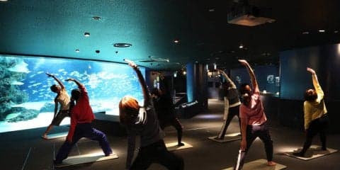 池袋で朝活！サンシャインシティで非日常ヨガを楽しむ