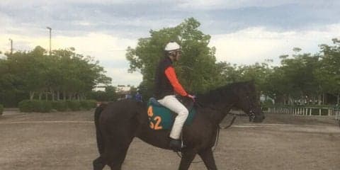 【注目新馬】ニシノゴウウン