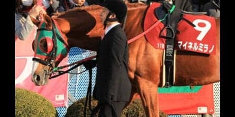 七夕賞であなたの願いを叶えるのは、穴党記者が「短冊に記した４頭」