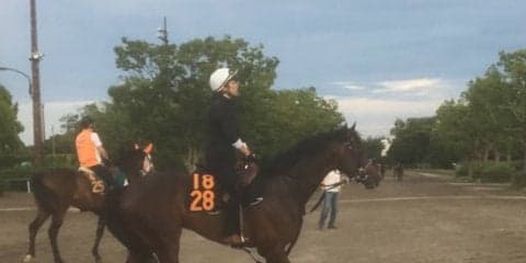 【ラジオNIKKEI賞】フィエールマン 無傷の2連勝 母はフランスの良血馬