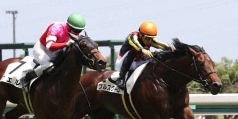 【中京6R/2歳新馬】キンシャサノキセキ産駒 ブルスクーロが素晴らしい勝負根性を発揮してデビュー勝ち！