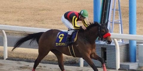 【スパーキングレディC】枠順 ラビットランは6枠9番 ワンミリオンスは6枠8番