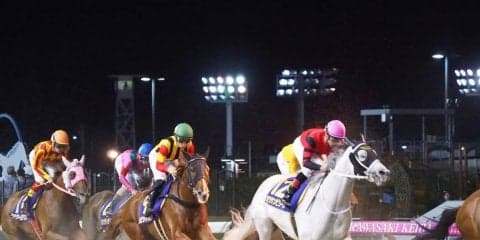 【スパーキングレディC】ルメール 「届きませんでした」関係者談話