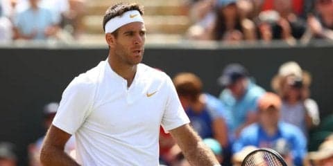 デル ポトロはペールにストレート勝ちで4回戦進出[ウィンブルドン]