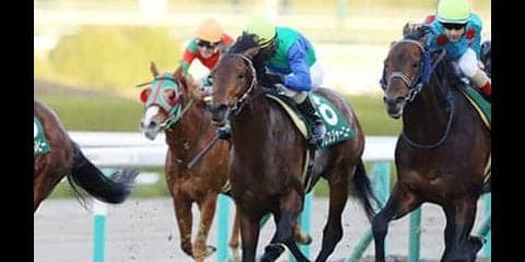 高齢馬も好走する函館記念。「元クラシック候補」の復権に妙味あり