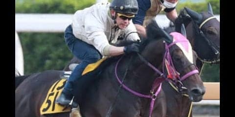 荒れる函館記念。巴賞組２頭と洋芝巧者１頭が「ボチボチ勝つ」と立候補