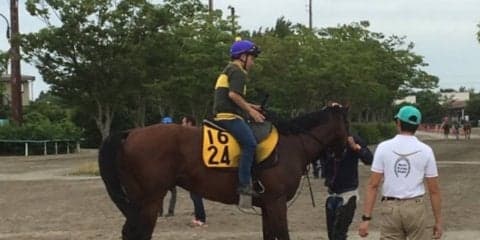 【プロキオンS】ブラゾンドゥリス 武藤雅の手腕に注目